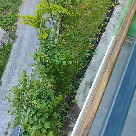 Casa vacanze Kuca Za Odmor Spiljani